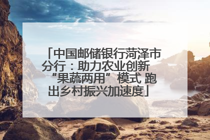 中国邮储银行菏泽市分行：助力农业创新 “果蔬两用”模式 跑出乡村振兴加速度