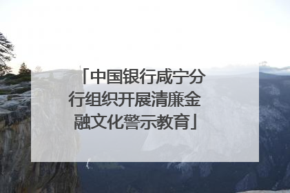 中国银行咸宁分行组织开展清廉金融文化警示教育