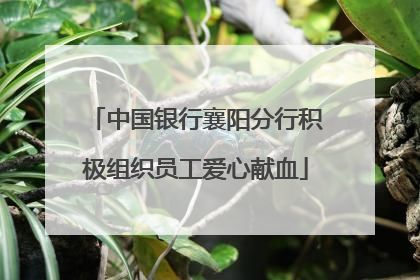 中国银行襄阳分行积极组织员工爱心献血