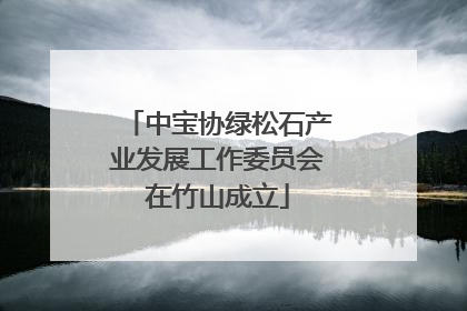 中宝协绿松石产业发展工作委员会在竹山成立