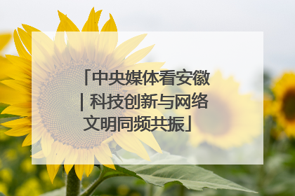 中央媒体看安徽｜科技创新与网络文明同频共振