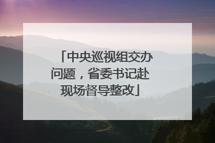 中央巡视组交办问题，省委书记赴现场督导整改