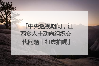 中央巡视期间，江西多人主动向组织交代问题｜打虎拍蝇
