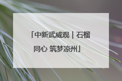 中新武威观｜石榴同心 筑梦凉州