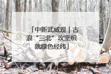 中新武威观｜古浪“三北”攻坚织就绿色经纬