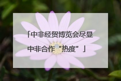中非经贸博览会尽显中非合作“热度”
