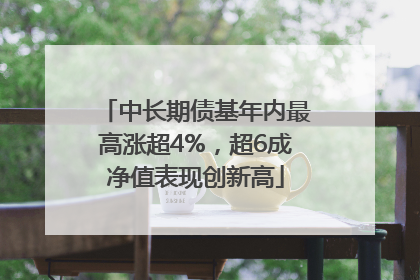 中长期债基年内最高涨超4%，超6成净值表现创新高