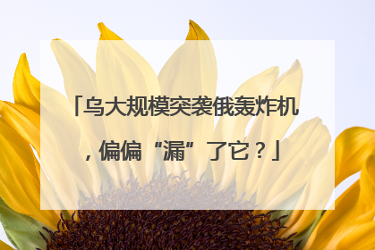 乌大规模突袭俄轰炸机，偏偏“漏”了它？