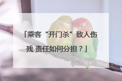 乘客“开门杀”致人伤残 责任如何分担？