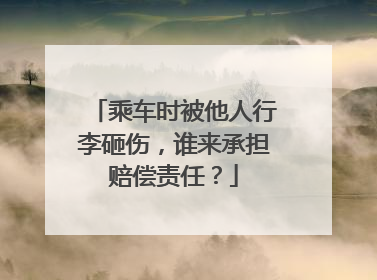 乘车时被他人行李砸伤，谁来承担赔偿责任？