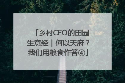 乡村CEO的田园生意经｜何以天府？我们用粮食作答④