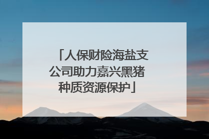 人保财险海盐支公司助力嘉兴黑猪种质资源保护