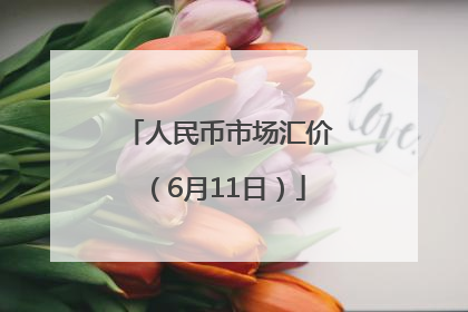 人民币市场汇价（6月11日）
