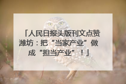 人民日报头版刊文点赞潍坊：把“当家产业”做成“担当产业”！