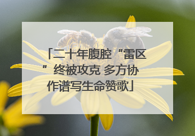 二十年腹腔“雷区”终被攻克 多方协作谱写生命赞歌
