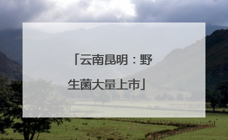 云南昆明：野生菌大量上市