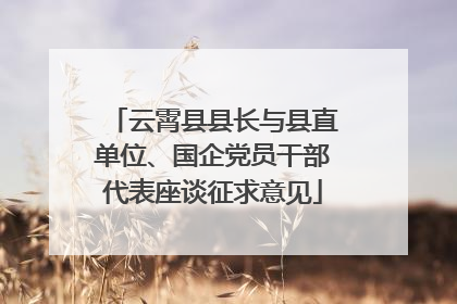 云霄县县长与县直单位、国企党员干部代表座谈征求意见