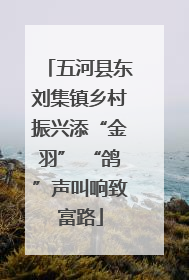 五河县东刘集镇乡村振兴添“金羽” “鸽”声叫响致富路