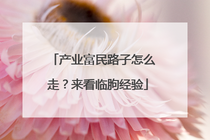 产业富民路子怎么走？来看临朐经验