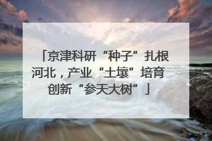 京津科研“种子”扎根河北，产业“土壤”培育创新“参天大树”