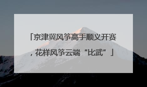 京津冀风筝高手顺义开赛，花样风筝云端“比武”