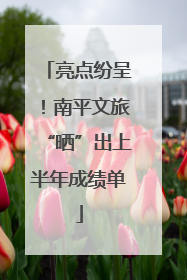 亮点纷呈！南平文旅“晒”出上半年成绩单
