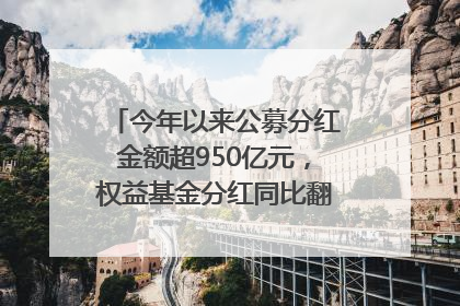 今年以来公募分红金额超950亿元，权益基金分红同比翻倍｜招财猫