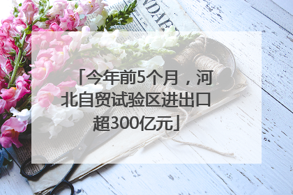 今年前5个月，河北自贸试验区进出口超300亿元