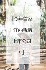 今年首家！江西新增一上市公司！