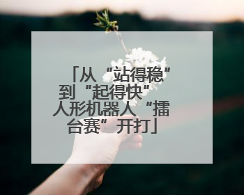 从“站得稳”到“起得快” 人形机器人“擂台赛”开打