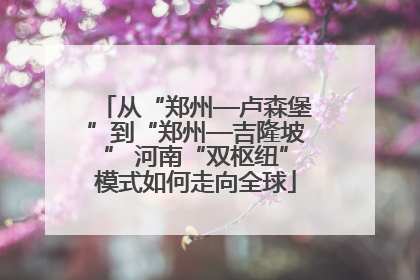 从“郑州—卢森堡”到“郑州—吉隆坡” 河南“双枢纽”模式如何走向全球