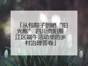 从包粽子到晒“阳光账” 四川资阳雁江区端午活动里的乡村治理答卷
