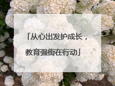 从心出发护成长，教育强街在行动