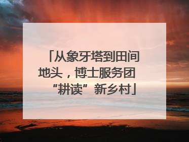 从象牙塔到田间地头，博士服务团“耕读”新乡村