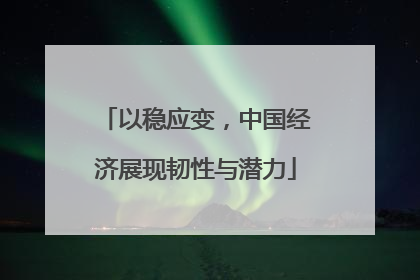 以稳应变，中国经济展现韧性与潜力