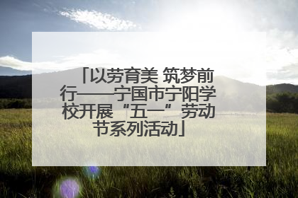 以劳育美 筑梦前行——宁国市宁阳学校开展“五一”劳动节系列活动