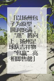 以扬州包子为原型，圆润饱满，“蒸”腾向上，扬州足球队吉祥物“包赢”亮相即售罄