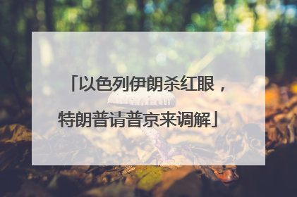 以色列伊朗杀红眼，特朗普请普京来调解