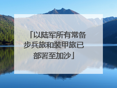 以陆军所有常备步兵旅和装甲旅已部署至加沙