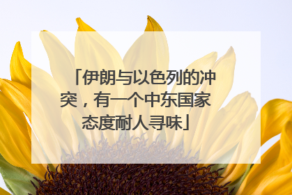 伊朗与以色列的冲突，有一个中东国家态度耐人寻味