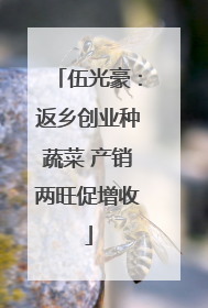 伍光豪：返乡创业种蔬菜 产销两旺促增收