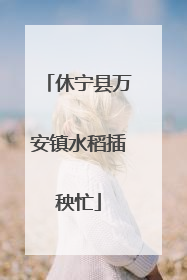 休宁县万安镇水稻插秧忙