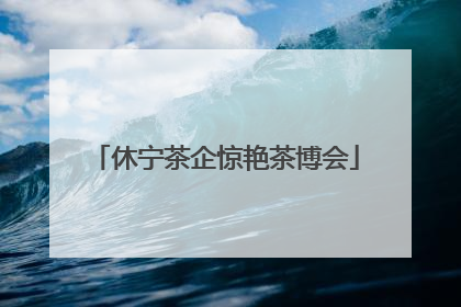 休宁茶企惊艳茶博会