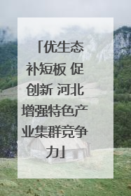 优生态 补短板 促创新 河北增强特色产业集群竞争力