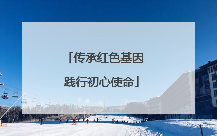 传承红色基因 践行初心使命
