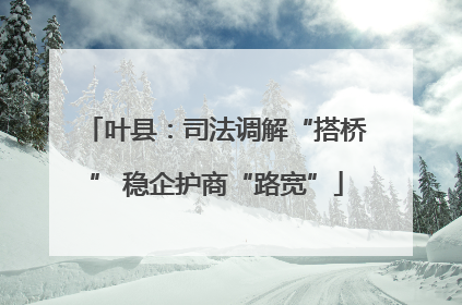 叶县：司法调解“搭桥” 稳企护商“路宽”