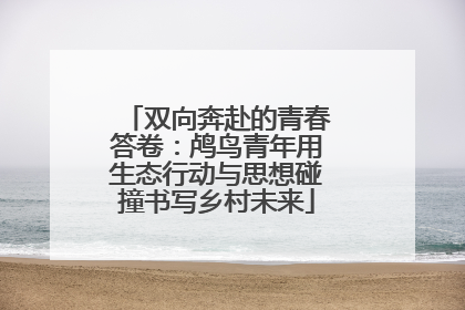 双向奔赴的青春答卷：鸬鸟青年用生态行动与思想碰撞书写乡村未来