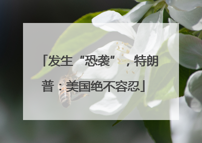 发生“恐袭”，特朗普：美国绝不容忍