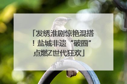 发绣淮剧惊艳混搭！盐城非遗“破圈”点燃Z世代狂欢