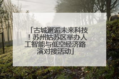 古城邂逅未来科技！苏州姑苏区举办人工智能与低空经济路演对接活动